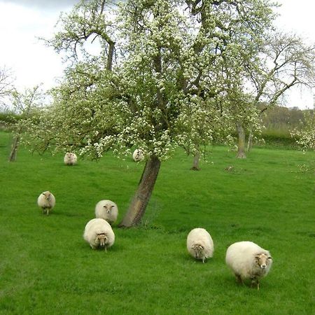Hoeve Schevey Мехелен Экстерьер фото