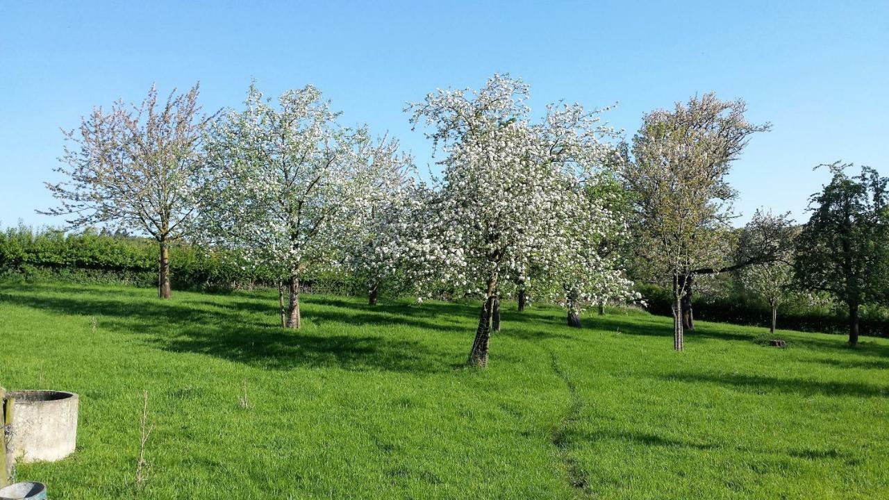 Hoeve Schevey Мехелен Экстерьер фото